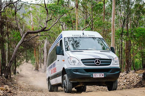 Gold Coast 4WD Eco Outback Tracks Tour - Accommodation Port Hedland 1