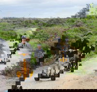 Gold Coast Segway Safari Adventure 90-minutes - Accommodation Port Hedland