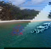 Eco Marine Safari - Boom netting  Snorkeling Moreton Island - Roma St Transfers - Accommodation Port Hedland