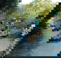 Gold Coast Segway Safari Adventure 60-minutes - Accommodation Port Hedland
