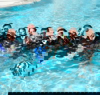 3-Day Open Water Certification Course on the Gold Coast - Accommodation Port Hedland