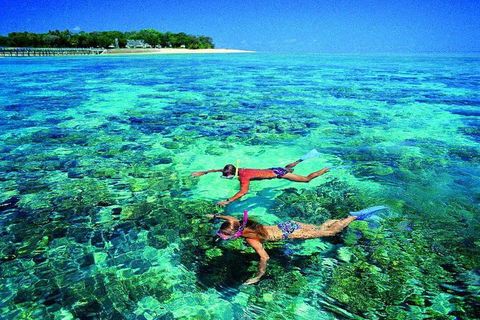 4-Day Cairns With Great Barrier Reef And Daintree Rainforest - Accommodation Port Hedland 3