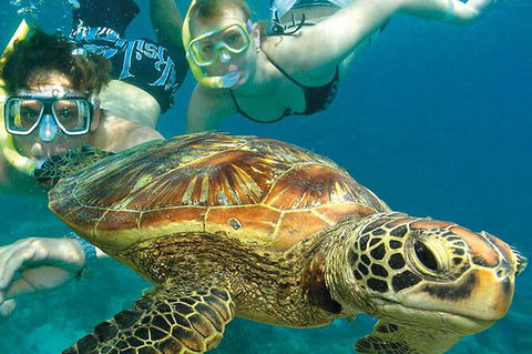4-Day Cairns With Great Barrier Reef And Daintree Rainforest - Accommodation Port Hedland 4