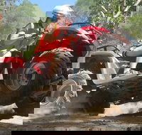Noosa Quad Bike Tours - Accommodation Port Hedland