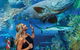 Cairns Aquarium Family Tickets - thumb 0
