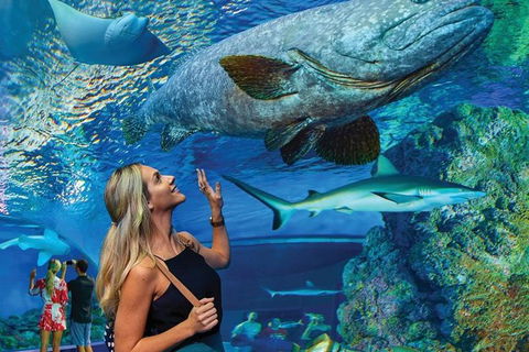 Cairns Aquarium Family Tickets - Accommodation Port Hedland 0