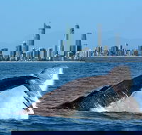 Gold Coast Airport to and from Byron Bay NSW for up-to 7 ppl - Accommodation Port Hedland