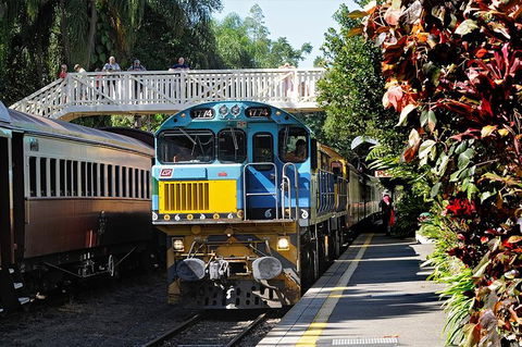Kuranda Day Tour, TKS- Budget 830 - Accommodation Port Hedland 2
