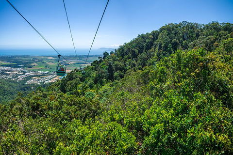 Kuranda Day Tour, TKS- Budget 830 - Accommodation Port Hedland 1