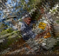 4-Day Australian Outback Tour from the Gold Coast to Sydney - Accommodation Port Hedland