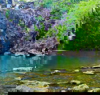 Reef Wildlife  Rainforest - Reef  Beyond Guided Holidays - Accommodation Port Hedland