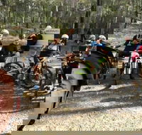 Gold Coast Mountain Bike Tour - Accommodation Port Hedland