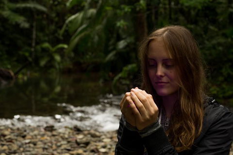 Daintree And Cape Tribulation Full Day Guided Tour - Accommodation Port Hedland 4