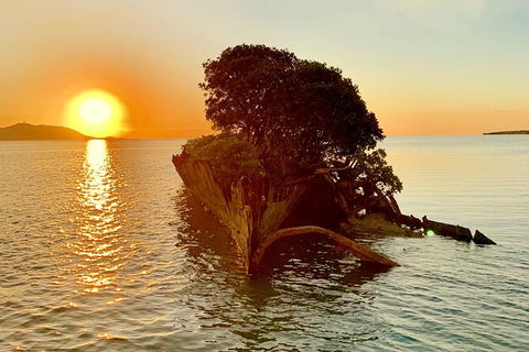 Aquascene Magnetic Island Sunset & Shipwreck Tour - Accommodation Port Hedland 3