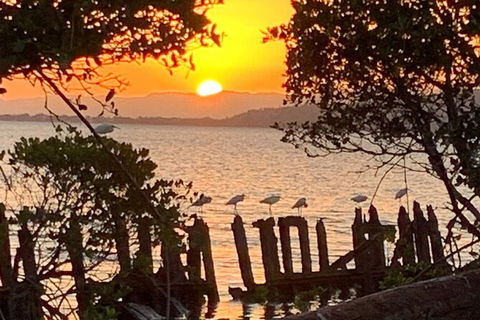 Aquascene Magnetic Island Sunset & Shipwreck Tour - Accommodation Port Hedland 2