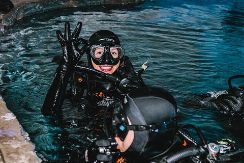 Cairns Aquarium Dive With The Sharks - Accommodation Port Hedland 1