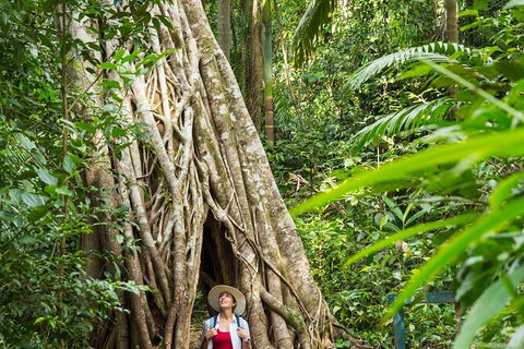 Rainforest To Reef Experience - Reef And Beyond Guided Holidays - Accommodation Port Hedland 2