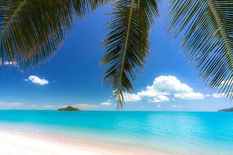 Rainforest To Reef Experience - Reef And Beyond Guided Holidays - Accommodation Port Hedland 1