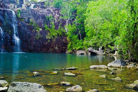 Rainforest To Reef Experience - Reef And Beyond Guided Holidays - Accommodation Port Hedland 5