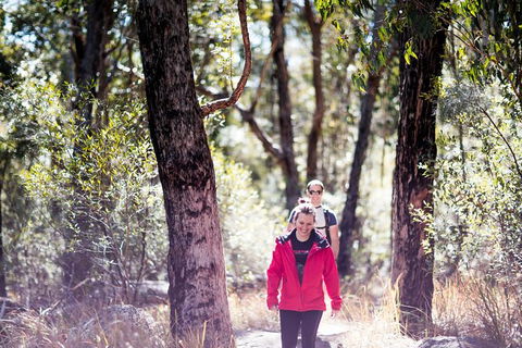 Stanthorpe Winery Experience - Accommodation Port Hedland 13