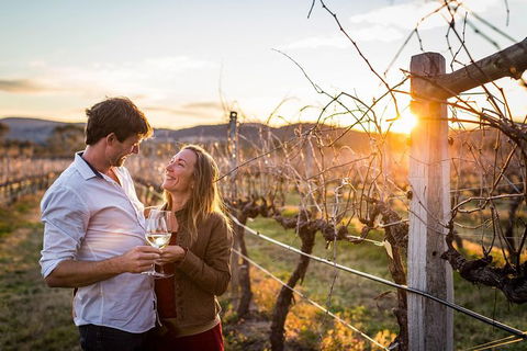 Stanthorpe Winery Experience - Accommodation Port Hedland 0