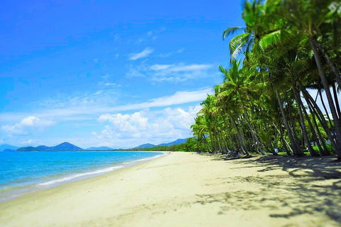 Airport Transfer - Palm Cove, Kewarra Beach & Trinity Beach To Cairns Airport - Accommodation Port Hedland 2