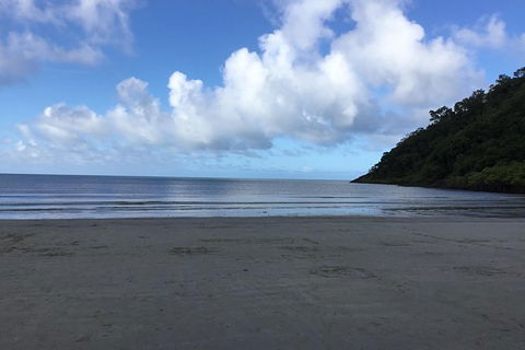 Daintree Luxury Limousine Tour - Full Day - Accommodation Port Hedland 6