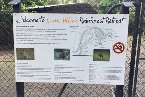 Daintree Luxury Limousine Tour - Full Day - Accommodation Port Hedland 2