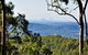 Tamborine Mountain & Gold Coast Tour - thumb 3