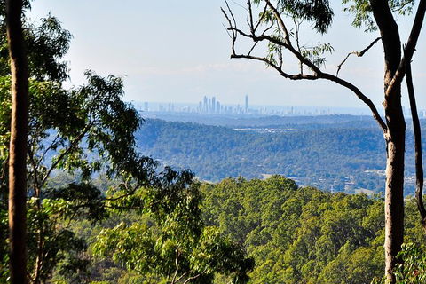 Tamborine Mountain & Gold Coast Tour - Accommodation Port Hedland 3