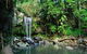 Tamborine Mountain & Gold Coast Tour - thumb 0