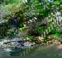Tamborine Mountain  Gold Coast Tour - Accommodation Port Hedland