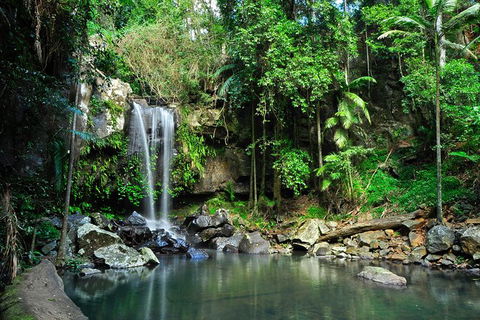 Tamborine Mountain & Gold Coast Tour - Accommodation Port Hedland 0