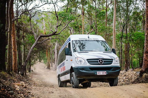 Tamborine Mountain & Gold Coast Tour - Accommodation Port Hedland 4