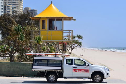 Tamborine Mountain & Gold Coast Tour - Accommodation Port Hedland 2