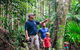 Tamborine Mountain & Gold Coast Tour - thumb 1