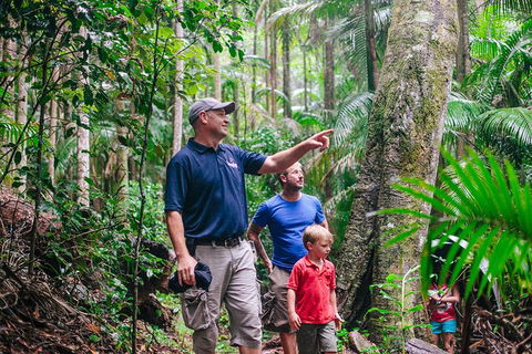 Tamborine Mountain & Gold Coast Tour - Accommodation Port Hedland 1