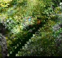OReillys Rainforest Retreat and Winery Day Tour from Nerang - Accommodation Port Hedland