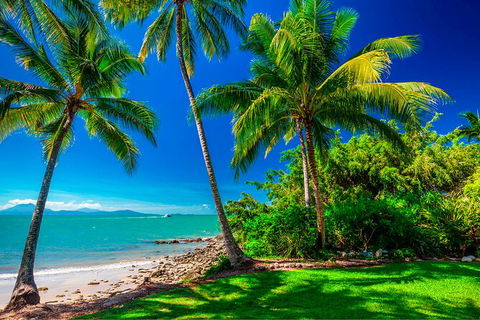 SHUTTLE - Port Douglas And Craiglie Return Transfer - Accommodation Port Hedland 2