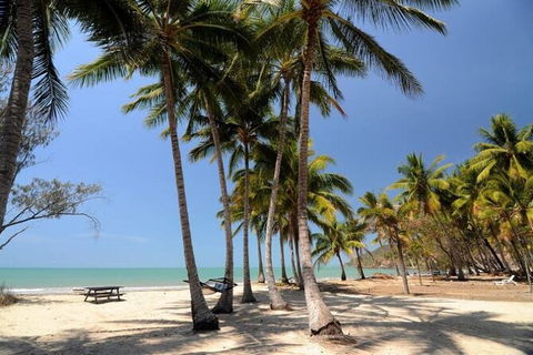 SHUTTLE - Thala Beach And Turtle Cove From Port Douglas (Return Transfer) - Accommodation Port Hedland 2