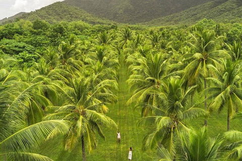 SHUTTLE - Thala Beach And Turtle Cove From Port Douglas (Return Transfer) - Accommodation Port Hedland 1