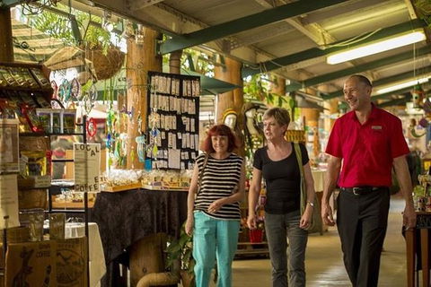 Kuranda Skyrail Rainforest Cableway And Scenic Railway - Accommodation Port Hedland 4