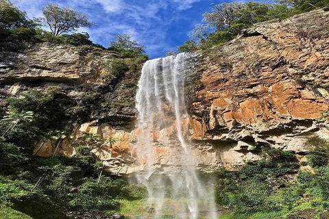 Springbrook Full Day Tour - Accommodation Port Hedland 1