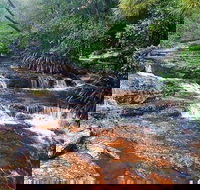 Springbrook Full Day Tour - Accommodation Port Hedland