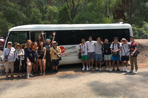 Private 24 Seat Mini Bus Gold Coast CBD To Gold Coast Airport Transfer - Accommodation Port Hedland 4