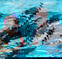 PADI Diving Courses on the Gold Coast - Accommodation Port Hedland