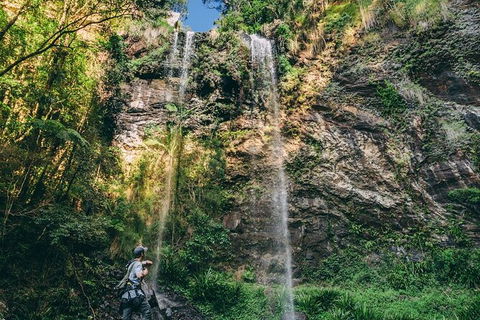 Private Half-Day Springbrook National Park Eco Tour - Up To 6 People - Accommodation Port Hedland 3