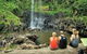 Private Half-Day Springbrook National Park Eco Tour - Up To 6 People - thumb 0