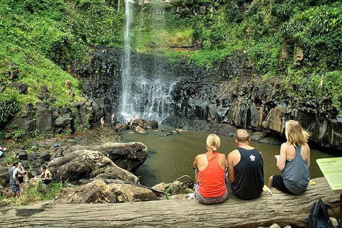 Private Half-Day Springbrook National Park Eco Tour - Up To 6 People - Accommodation Port Hedland 0