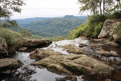 Private Half-Day Springbrook National Park Eco Tour - Up To 6 People - Accommodation Port Hedland 1